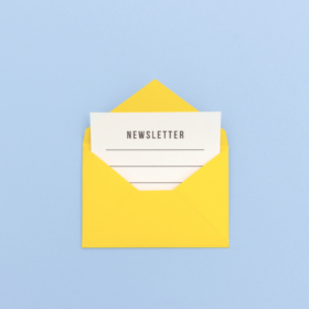 SFE NEWSLETTER